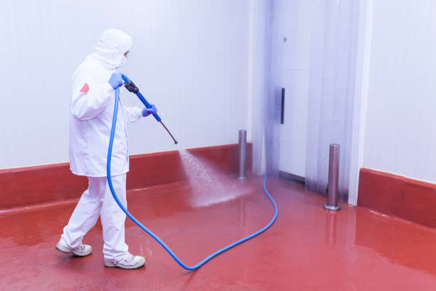 Best Graffiti Removal  in Cave Spring, VA